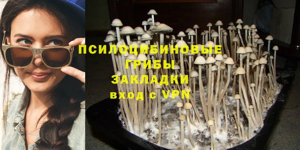 Альфа ПВП Абаза