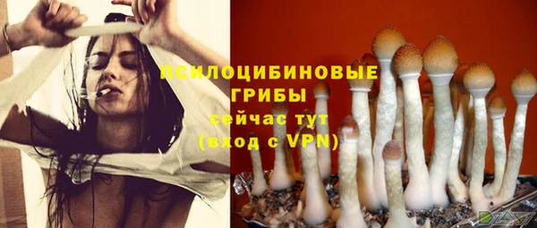 Альфа ПВП Абаза